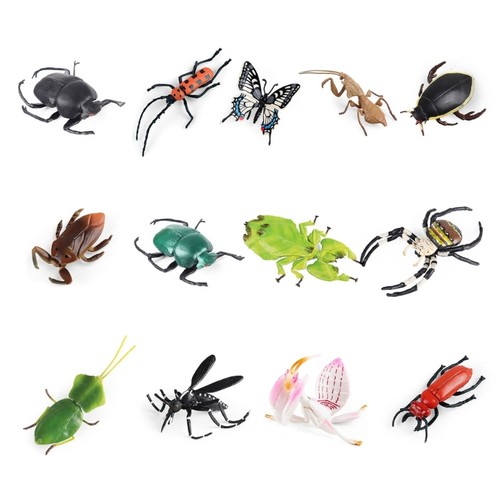 Simulation insect solid - simulation,