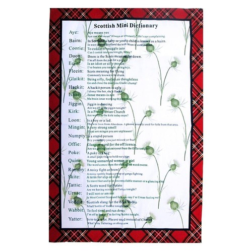 Scottish mini dictionary - scottish,