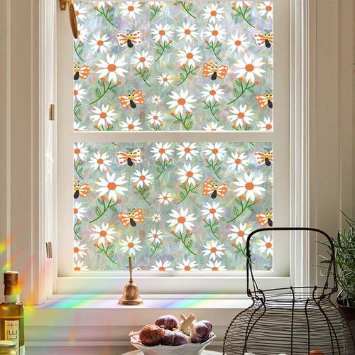Colorful for daisy and - for,