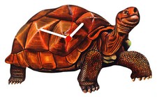 Tortoise Clock - Tortoises -