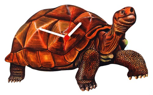 Tortoise clock tortoises - tortoise,