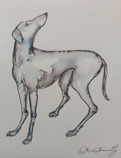 Original Small Hand Drawn Dog
