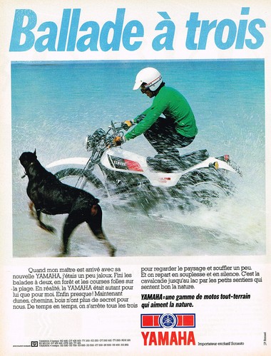 Advertisement advertising 104 - advertisement,