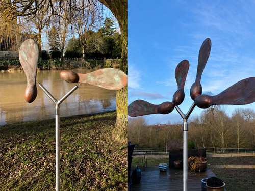 Sycamore seed kinetic - seed,