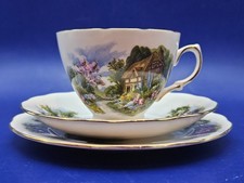 Royal Vale Cottage Garden Bone China Trio Tea Cup Saucer Plate