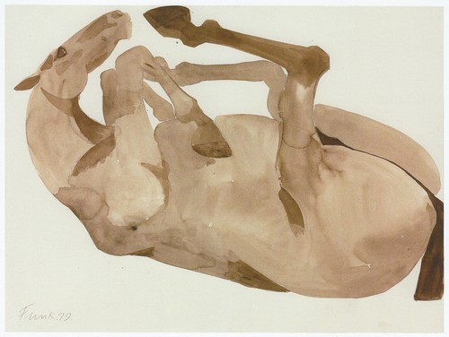 Rolling over horse dame - horse,