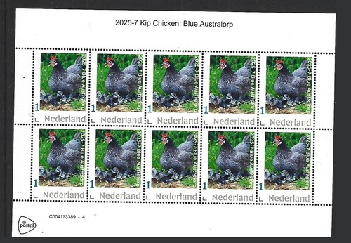 Netherlands 2025 chicken - 2025-7,