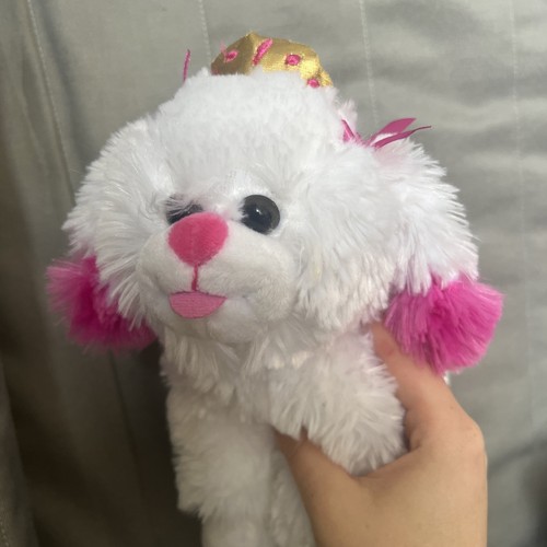 Pink and white - poodle, dog