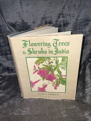 Flowering trees shrubs in - flowering,