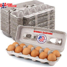 Blank Natural Pulp Egg Cartons