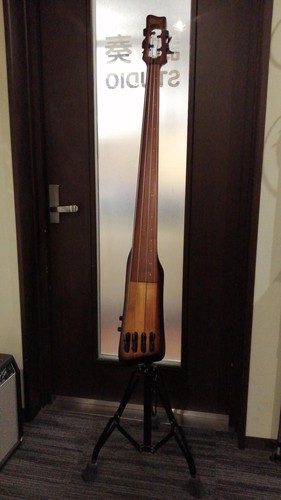 Ibanez 804 electric upright - ibanez,