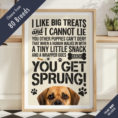 Funny dog treats lyric - funny, quote