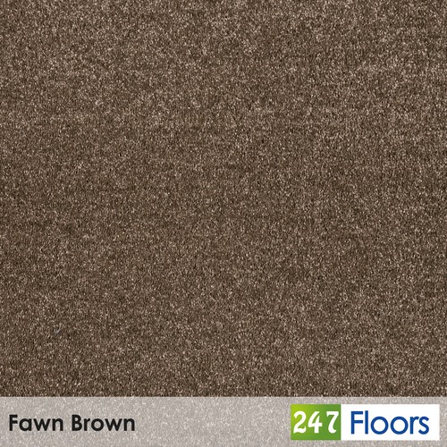 Fawn brown saxony - fawn,