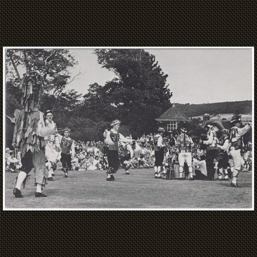 Sidmouth folk festival morris - folk,