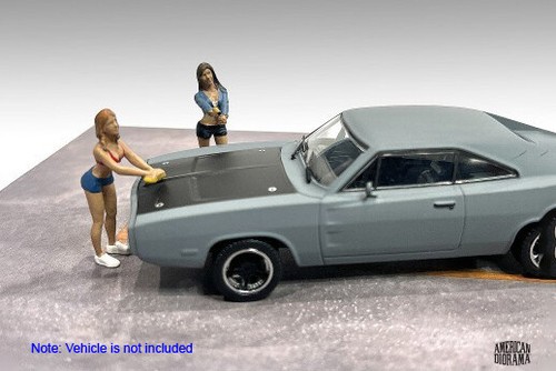 Car wash girl - wash, set