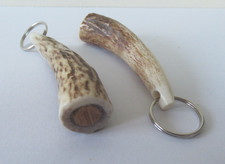 TWO SCOTTISH RED DEER STAG