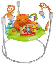 Fisher-Price Baby Bouncer