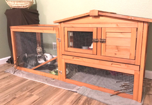 Wood chinchilla house - chinchilla,