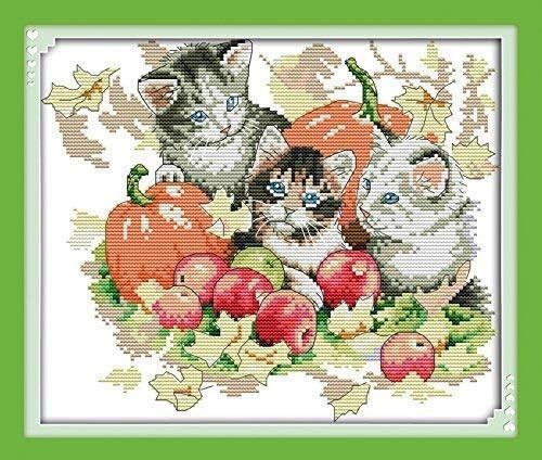 Happy forever 11ct - forever,
