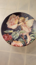 Royal Worcester Hand Painted
