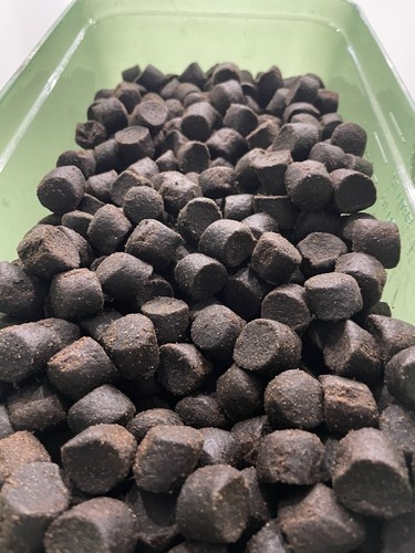 Large halibut carp cat pellet - carp/cat,
