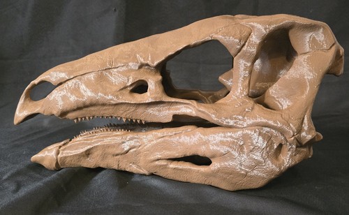 Stegosaurus replica dinosaur - replica,