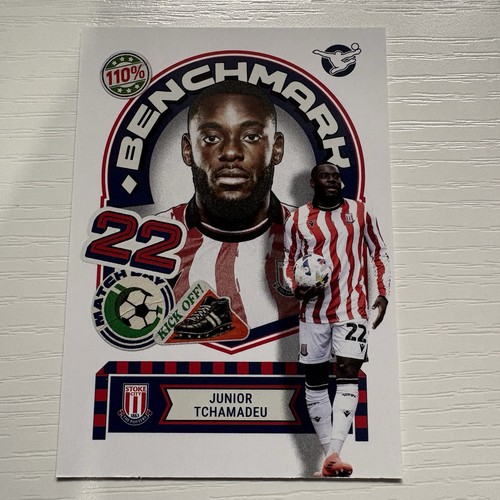 Panini efl football 2026 - ,