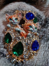 Marmalade Tabby Kittens