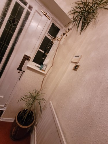 Tall indoor house - tall, with