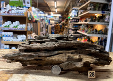 Dragon wood natural aquarium - dragon,