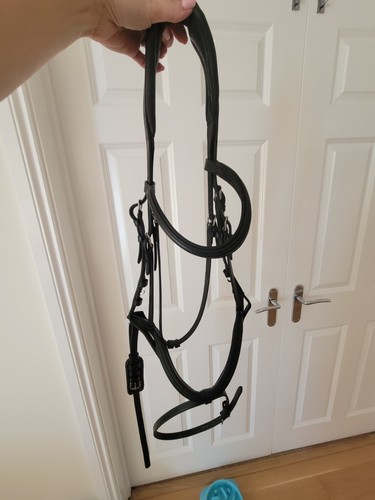 Shires velociti dressage - shires,