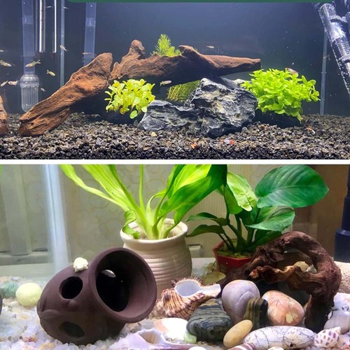 3pcs natural look driftwood - natural-look,