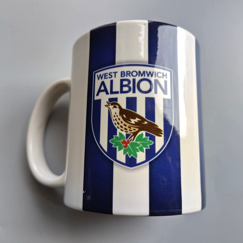 West bromwich albion football - west,