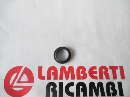 Fork dust seals - fork,