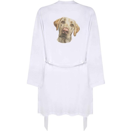 Labrador retriever dog - 'labrador, dog'