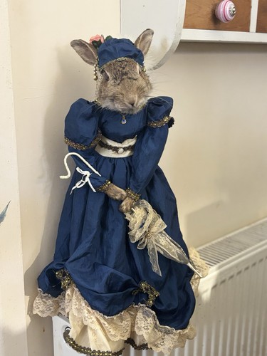 Roadkill heirloom taxidermy - roadkill,