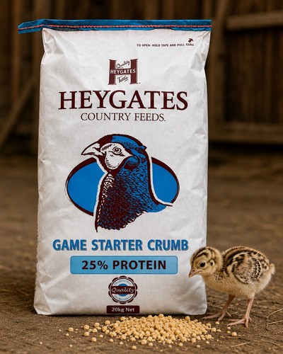 500g heygates game bird - 500g, feed