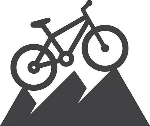 Swiss ex511 mtb - dt,