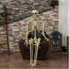 170 185CM Skeleton Full Size