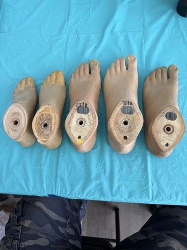 Lot used prosthetic feet - lot,