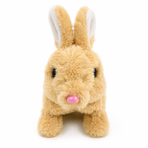 Interactive plush bunny toy - interactive,