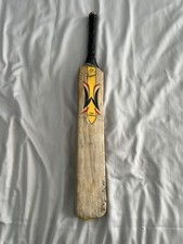 Woodworm the torch pioneer - woodworm,
