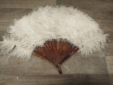 Vintage ostrich feather - ostrich,