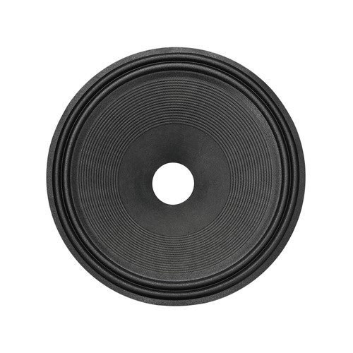 Paper speaker cone - 12",