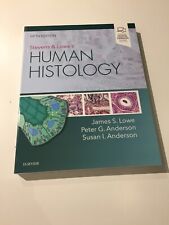 Stevens and Lowe's Human