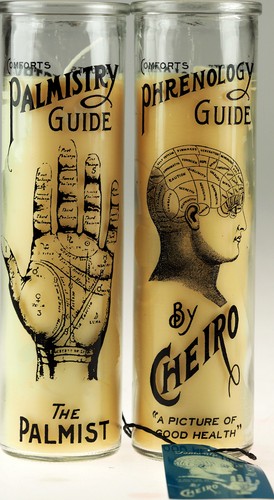 Phrenology palmistry 20cm - /,