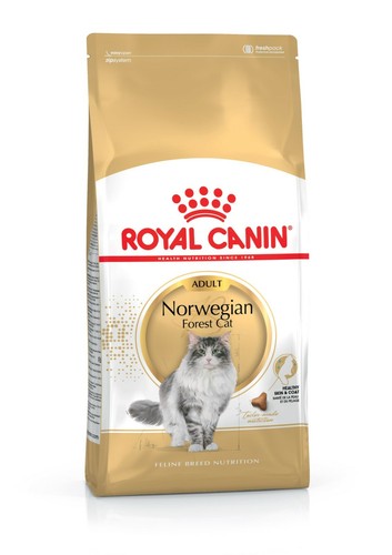 Royal canin norwegian forest - norwegian,
