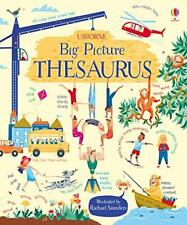 Big Picture Thesaurus-Rosie Hore,Rachael Saunders