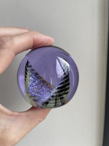 Caithness glass paperweight - caithness,
