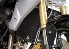 Triumph Street Triple 675 R